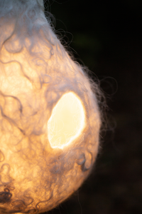 Placeholder luminaire